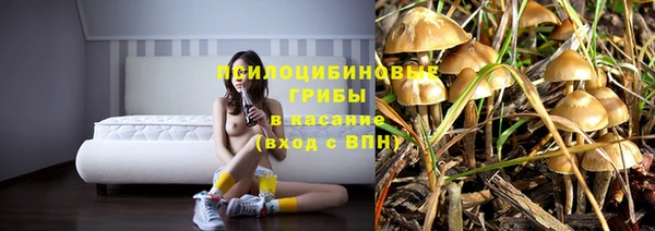 стафф Абаза